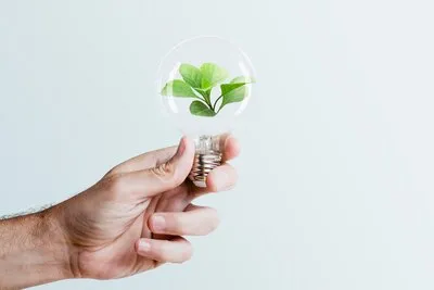 sustainable-energy-campaign-hand-holding-tree-light-bulb-media-remix_53876-104824_19_11zon